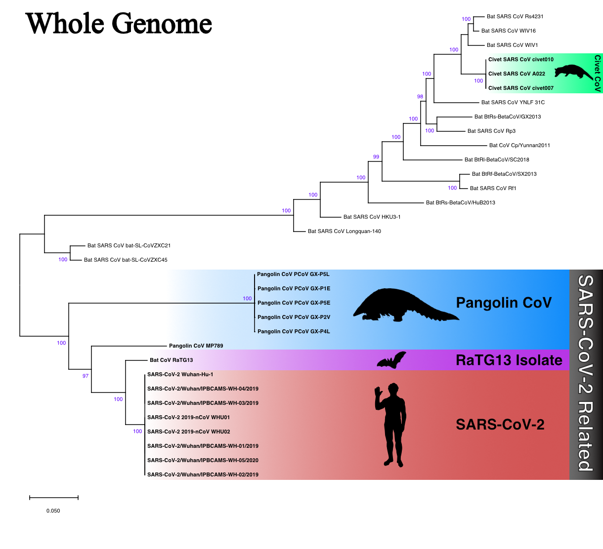 covid-19 Research